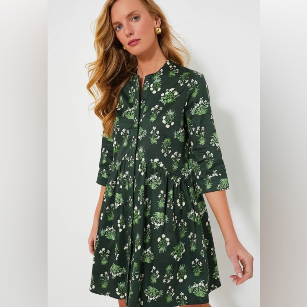 Tuckernuck Royal Shirt Dress